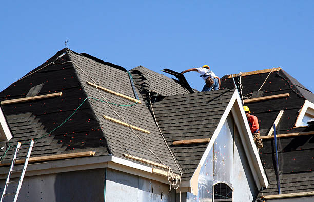Best Roof Gutter Cleaning  in Las Flores, CA
