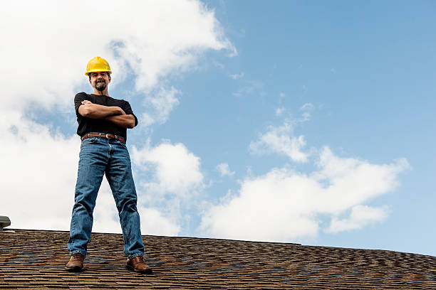 Roof Gutter Cleaning in Las Flores, CA